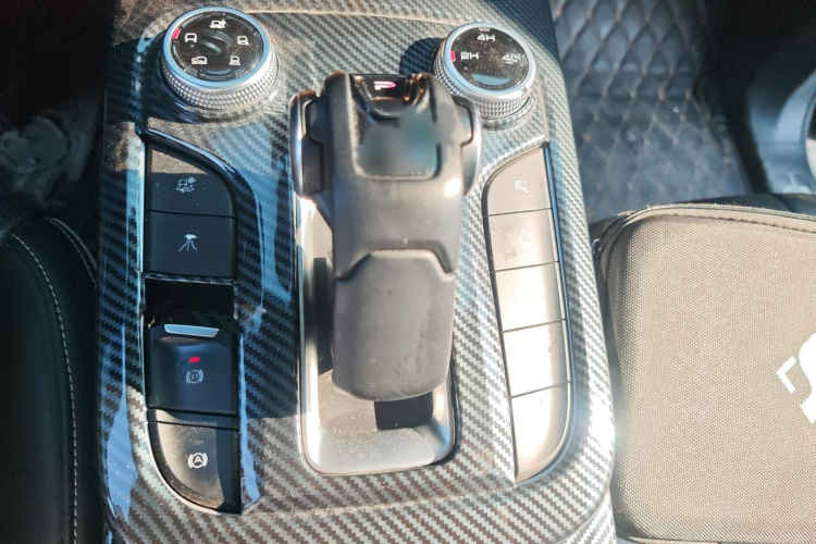 Tank 300 2021 car image #26