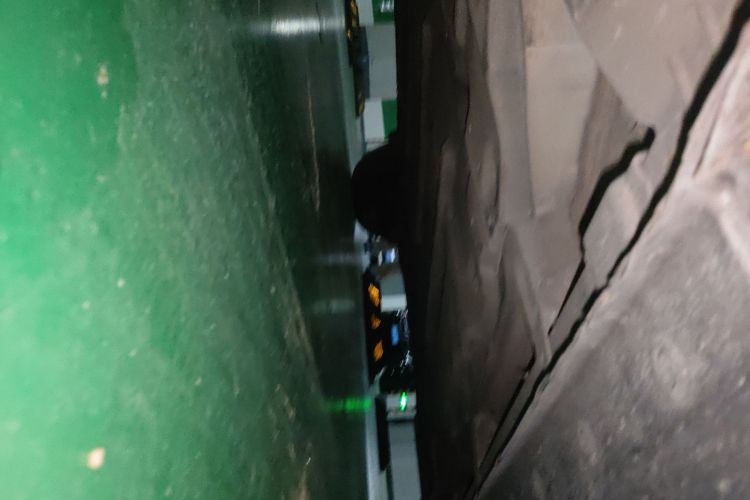 日产 轩逸·纯电 2019 汽车图片 #26