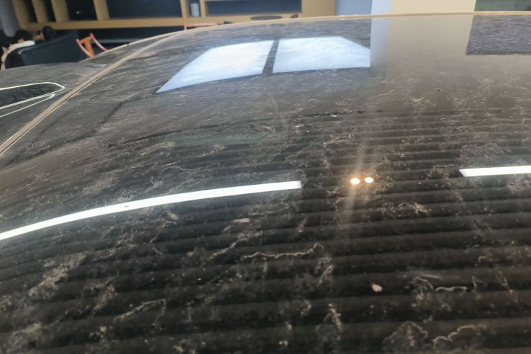 极氪 极氪MIX 2024 汽车图片 #26