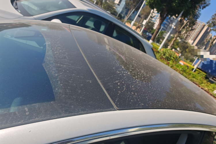 特斯拉 Model 3(进口) 2019 汽车图片 #26