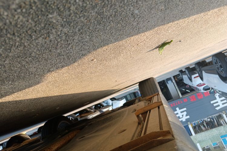 大众 途观L 2021 汽车图片 #26