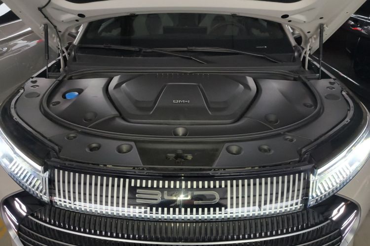 BYD Frigate 07 2023 imagem de carro #26