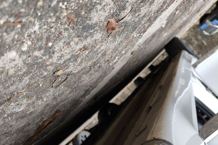 Hyundai Sonata 2014 car image #26