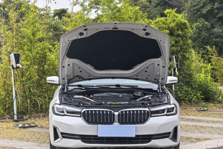 BMW 5 Series New Energy 2021 car image #26