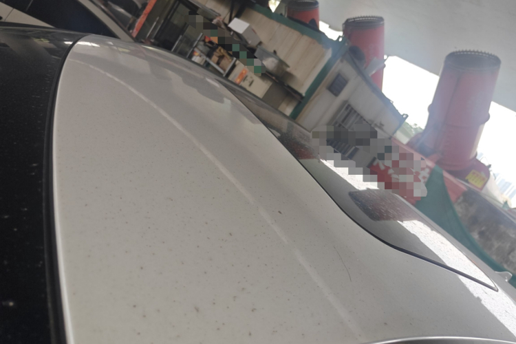 Haval F7x 2020 #26 Haval F7x 2020 immagine di auto #26