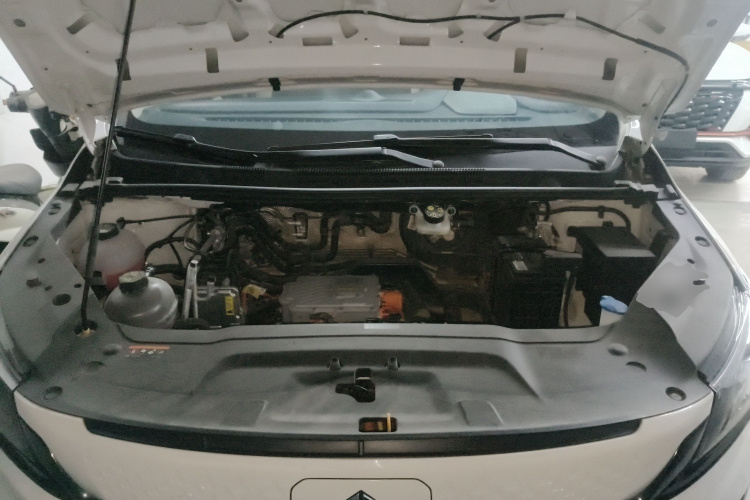 睿蓝汽车 枫叶80v PRO 2023 汽车图片 #26