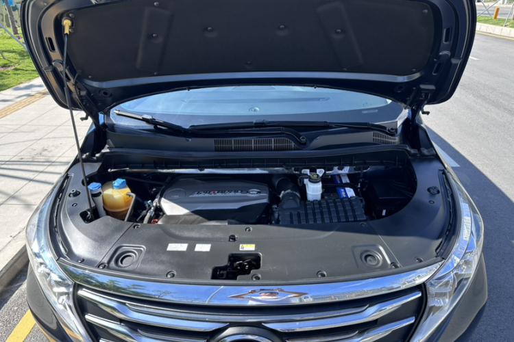 GAC Trumpchi M8 2019 car image #26