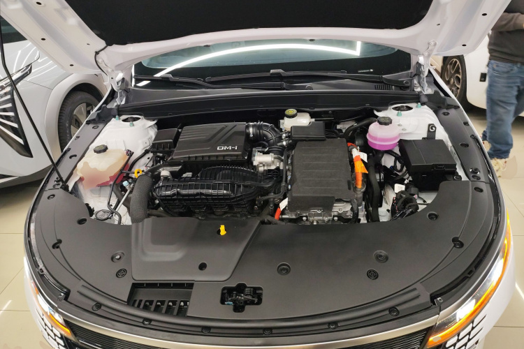 BYD Destroyer 05 2024 imagen de coche #26