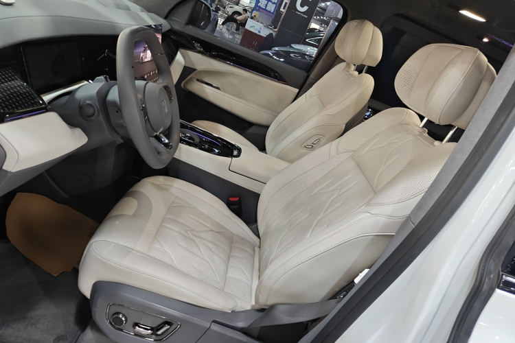 极氪 极氪009 2024 汽车图片 #26