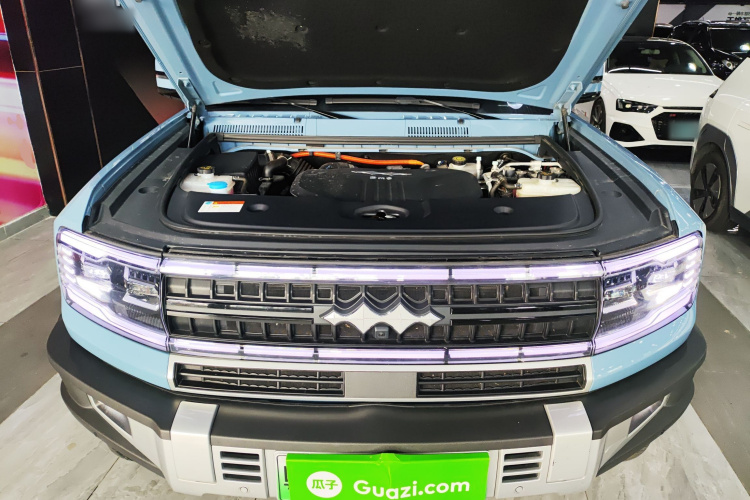 FangChengBao Leopard 5 2024 car image #26