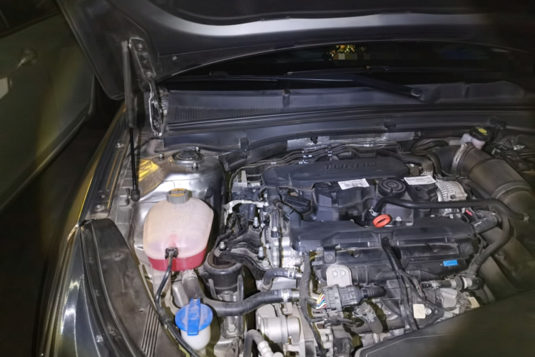 起亚 起亚K5 2022 汽车图片 #26