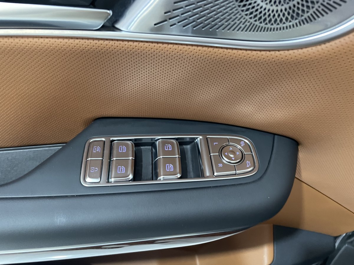 HongQi HQ9 2023 immagine di auto #26