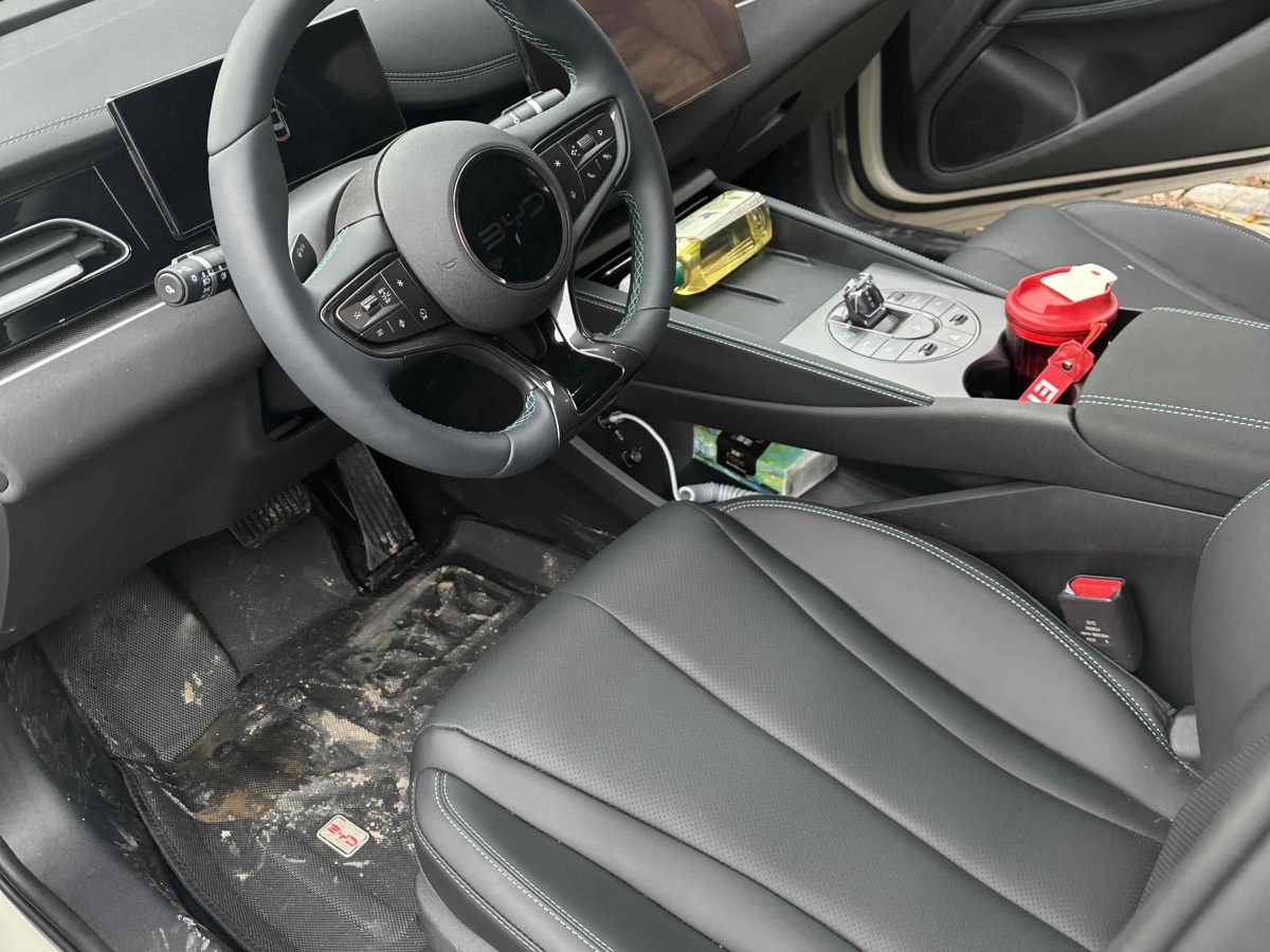 BYD Seal 06 DM-i 2025 immagine di auto #26