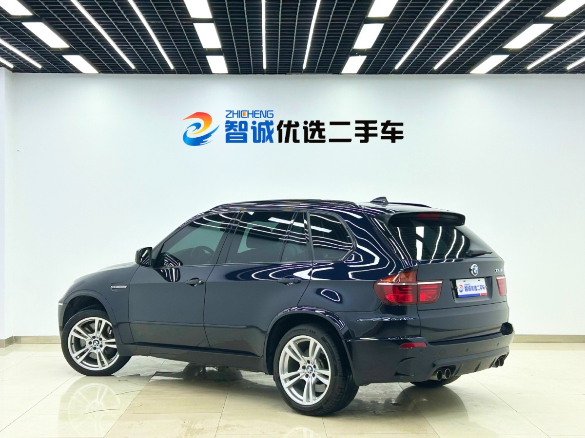 BMW X5 M 2010 car image #26