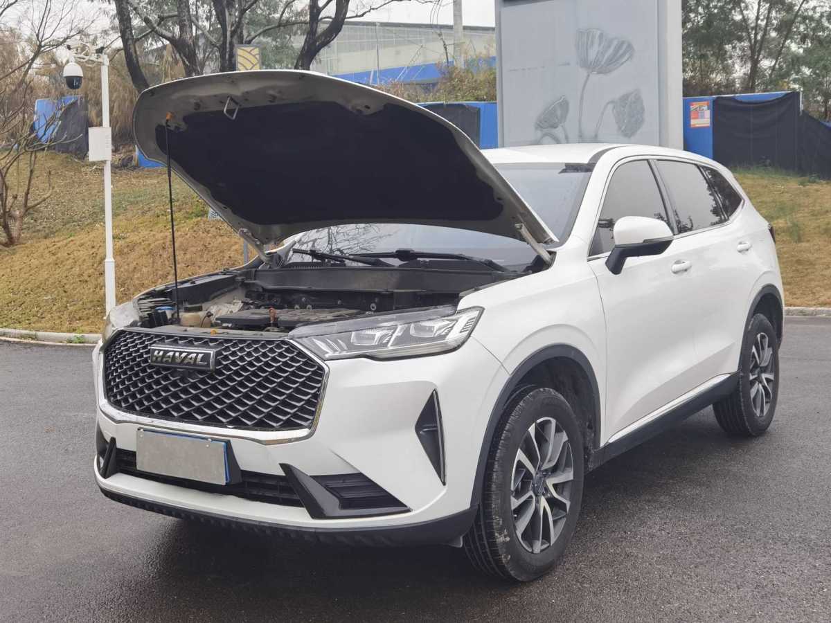 Haval H6 2021 #26 Haval H6 2021 car image #26