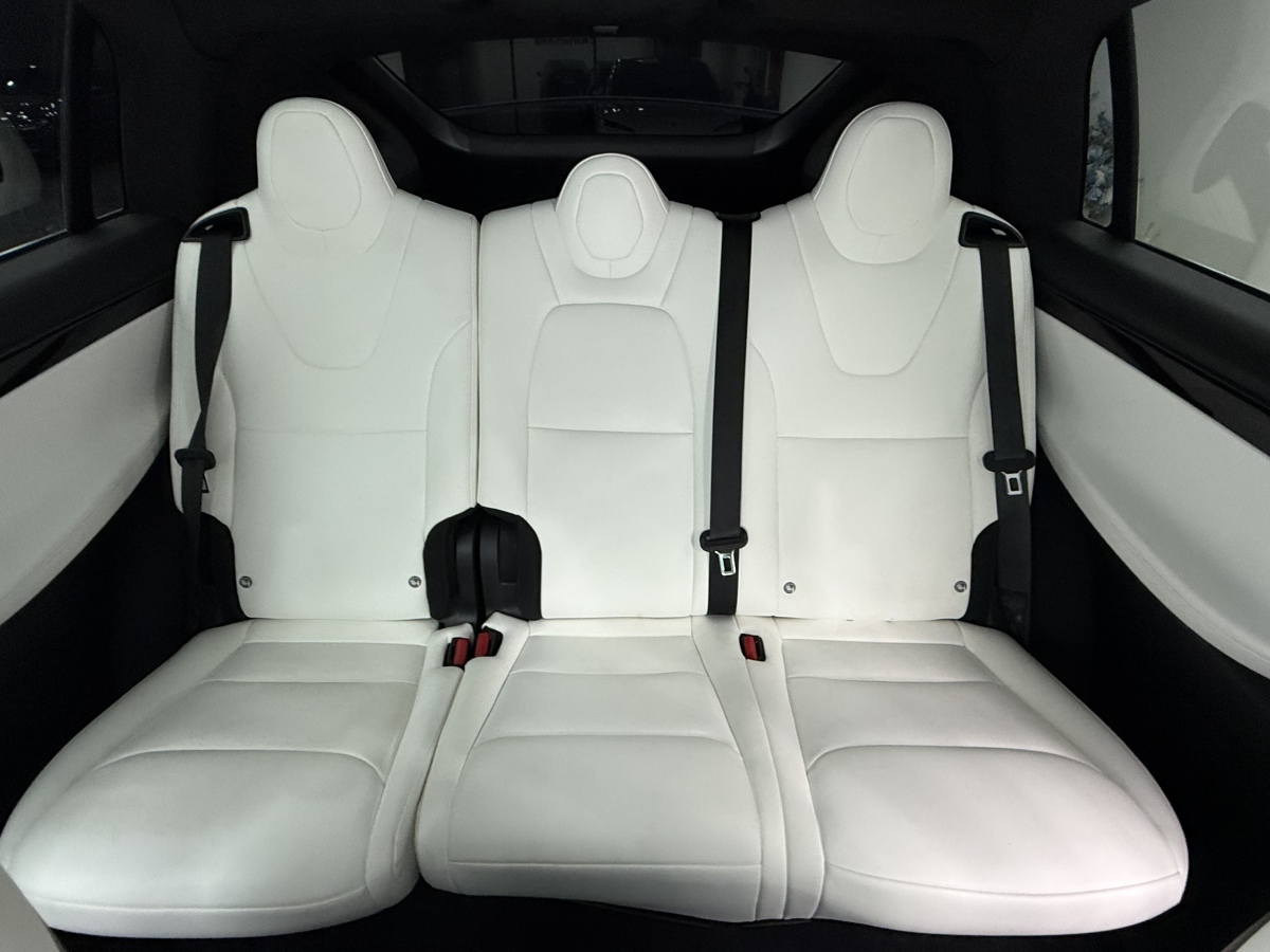 特斯拉 Model X 2019 汽车图片 #26