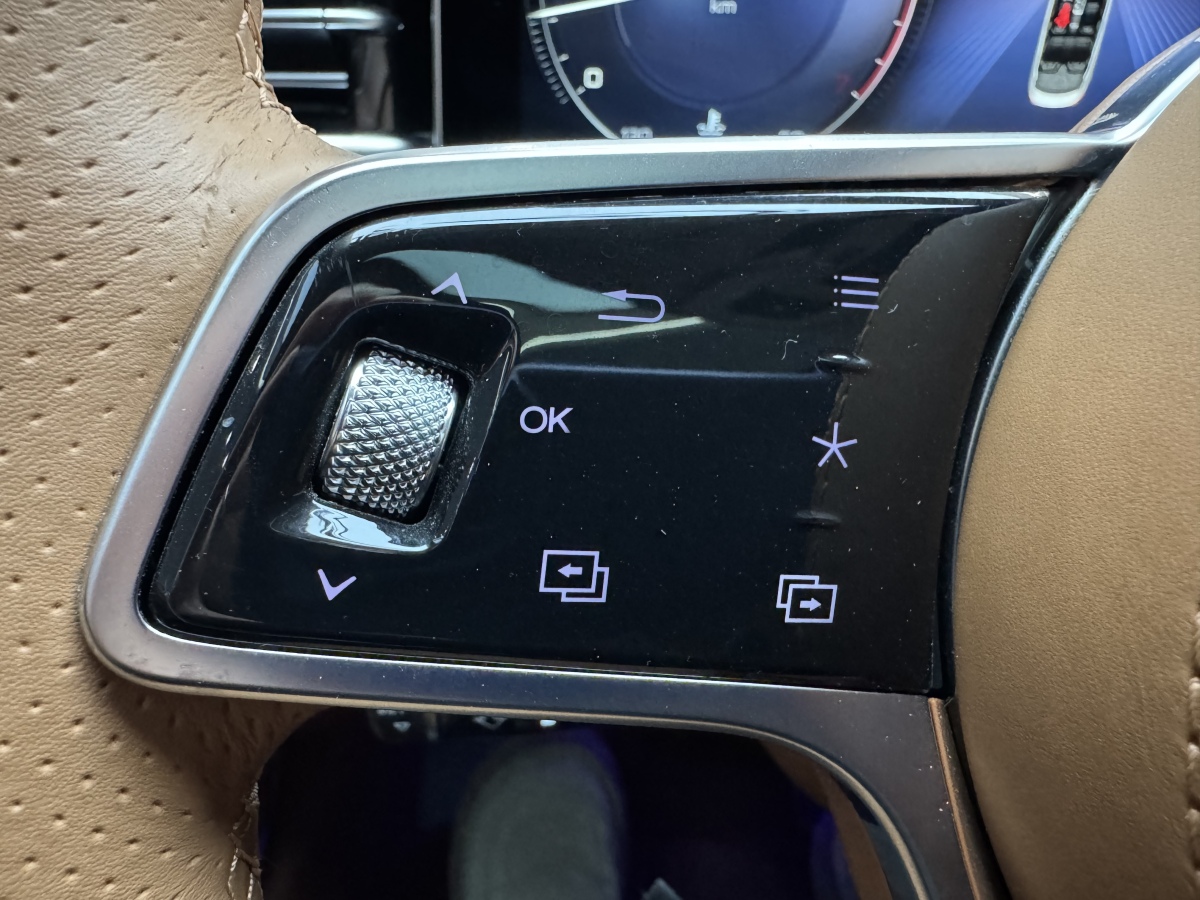 HongQi H9 2023 #26 HongQi H9 2023 immagine di auto #26