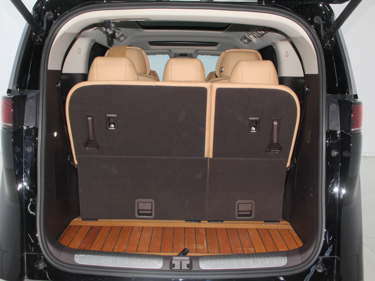 Denza D9 2025 car image #26