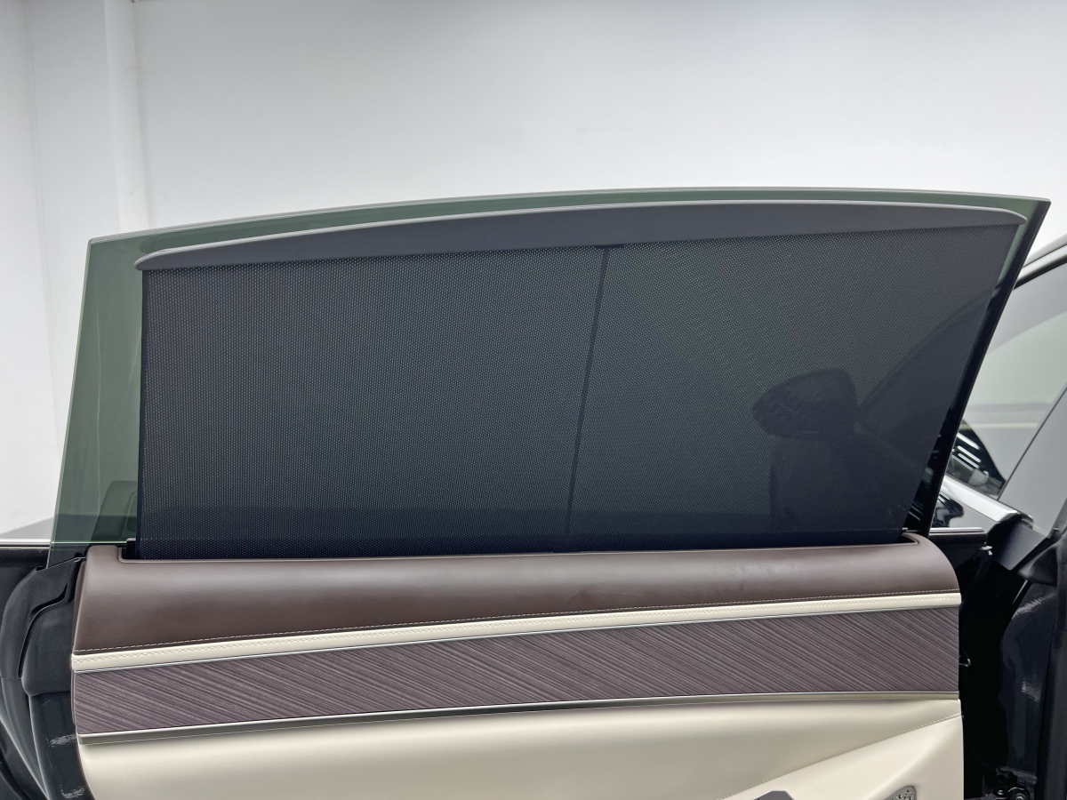 Denza Z9 2024 car image #26