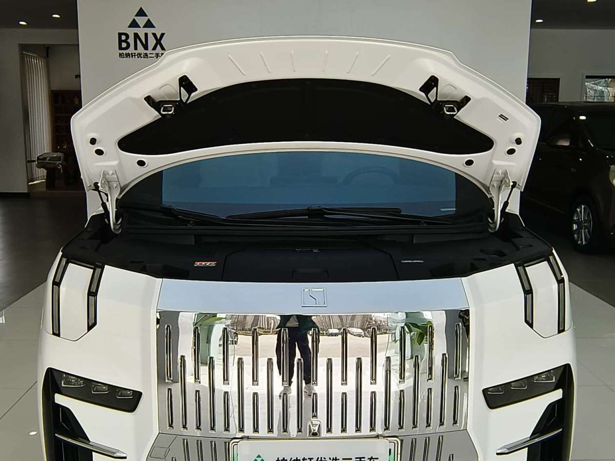 极氪 极氪009 2024 汽车图片 #26