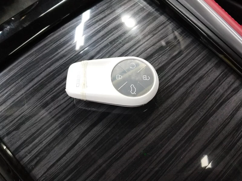 Exceed Yaoguang C-DM 2024 car image #26