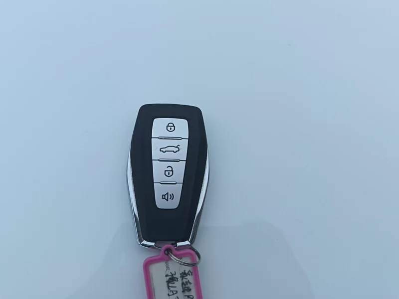 GEELY OkavangoPRO 2024 car image #26