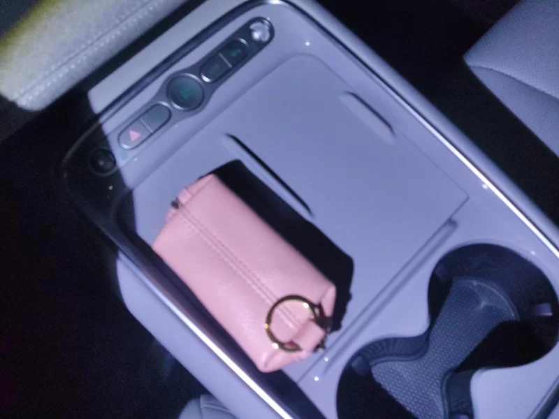 BYD Sea Lion 05 EV 2025 car image #26