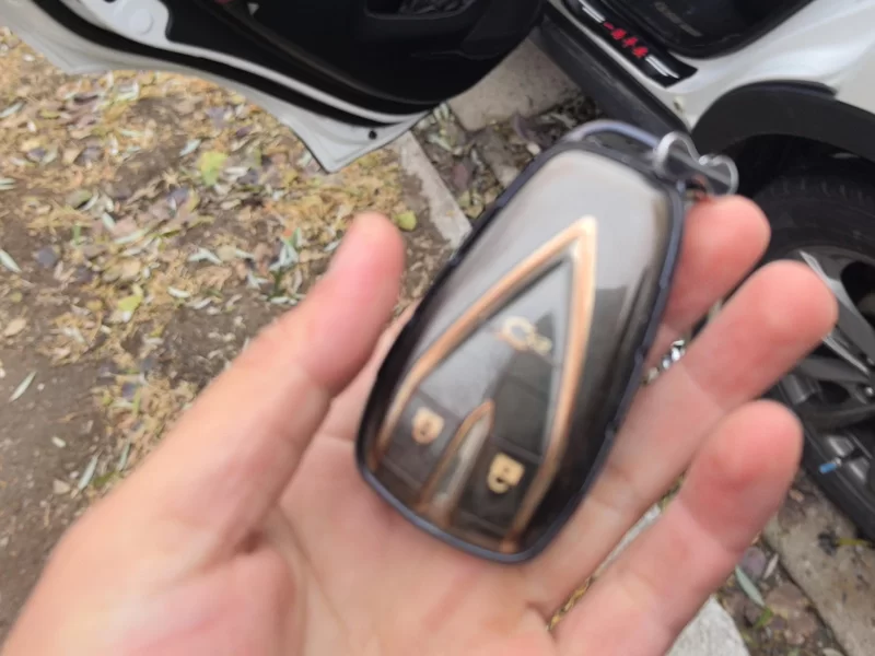 Changan CS55PLUS PHEV 2021 #26 Changan CS55PLUS PHEV 2021 immagine di auto #26