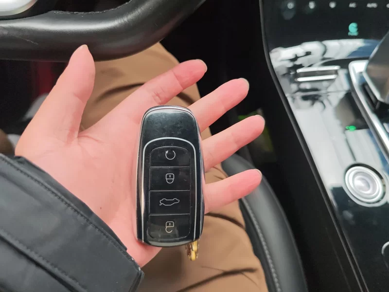 Chery Tiggo 8 Plus e+ 2022 car image #26