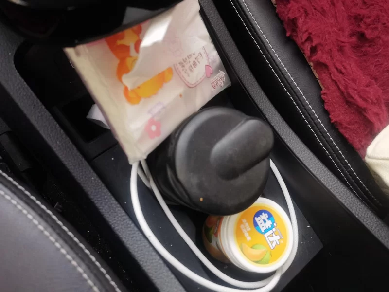 BYD Yuan New Energy 2020 car image #26