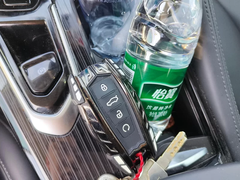 GEELY Tugella 2023 immagine di auto #26