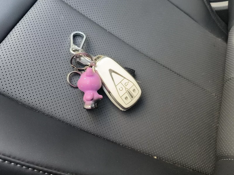 Changan Raeton Plus 2024 car image #26