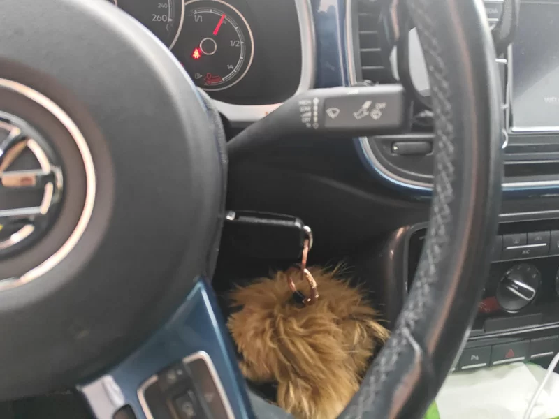 Volkswagen Beetle 2018 immagine di auto #26