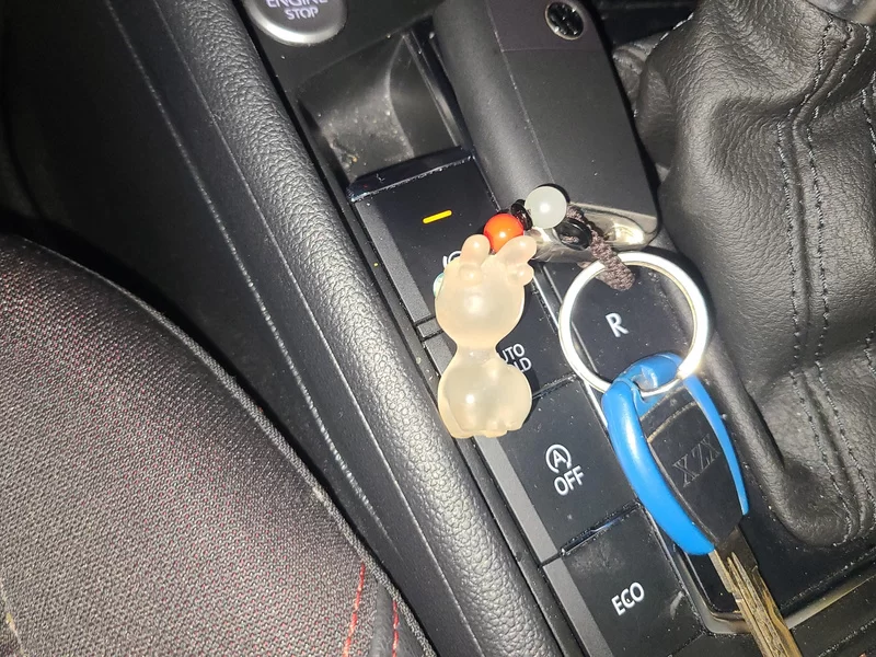 Volkswagen Lavida 2024 immagine di auto #26