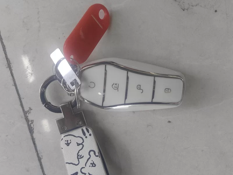 BYD Destroyer 05 2023 car image #26