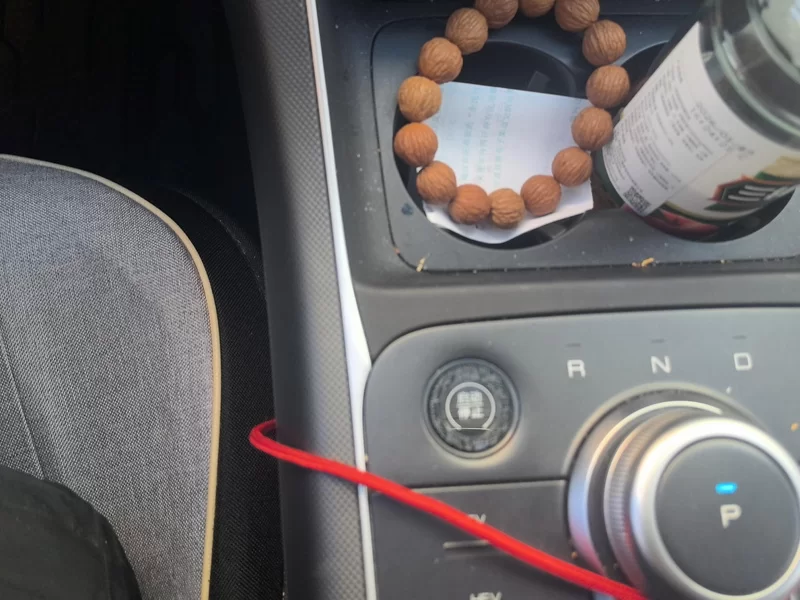 BYD Destroyer 05 2024 imagen de coche #26