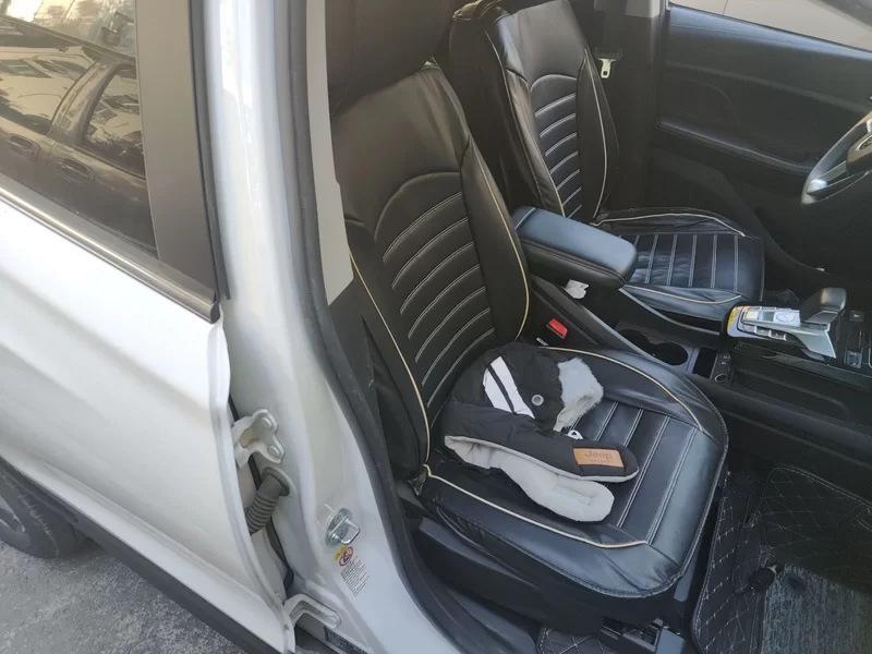 BYD Yuan New Energy 2020 #26 BYD Yuan New Energy 2020 car image #26