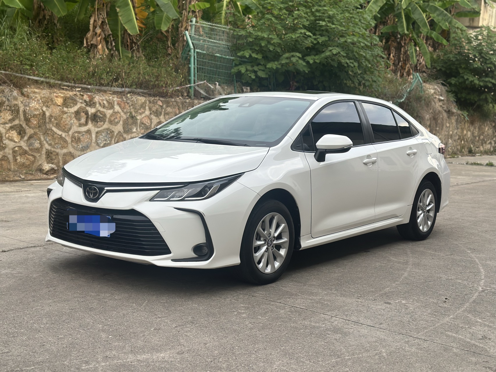 Toyota Corolla 2023 car image 