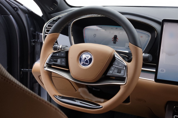 BYD Han 2022 immagine di auto #12