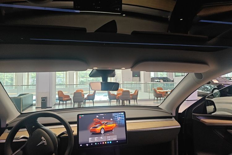 Tesla Model Y 2023 #18 Tesla Model Y 2023 car image #18