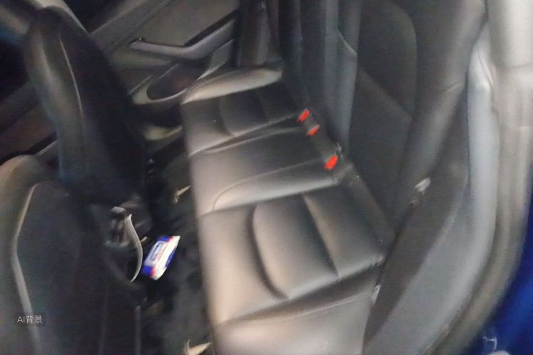 Tesla Model 3 2020 car image #19