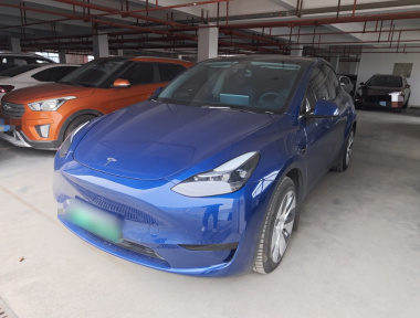 Tesla Model Y 2022 Tesla Model Y 2022 car image
