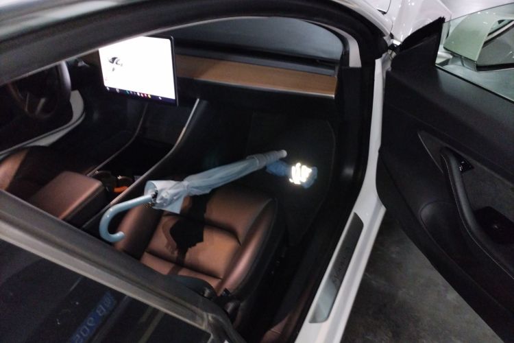Tesla Model 3 2020 #27 Tesla Model 3 2020 صورة سيارة #27
