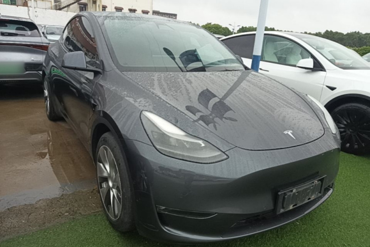 Tesla Model Y 2021 #4 Tesla Model Y 2021 car image #4