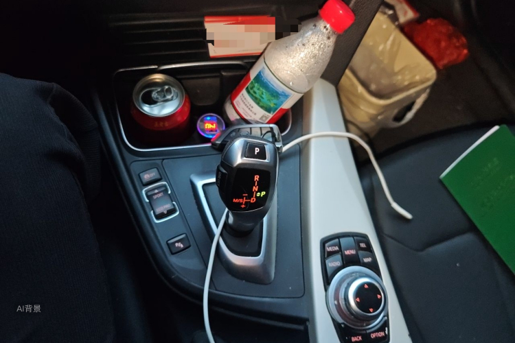 BMW 3 Series 2016 car image #16