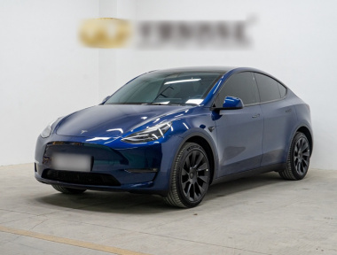 Tesla Model Y 2022 Tesla Model Y 2022 car image