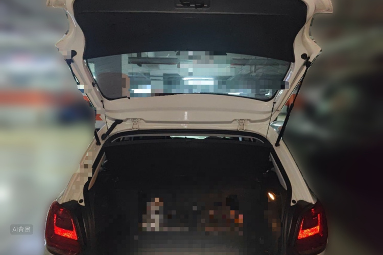 Volkswagen Polo 2016 car image #21