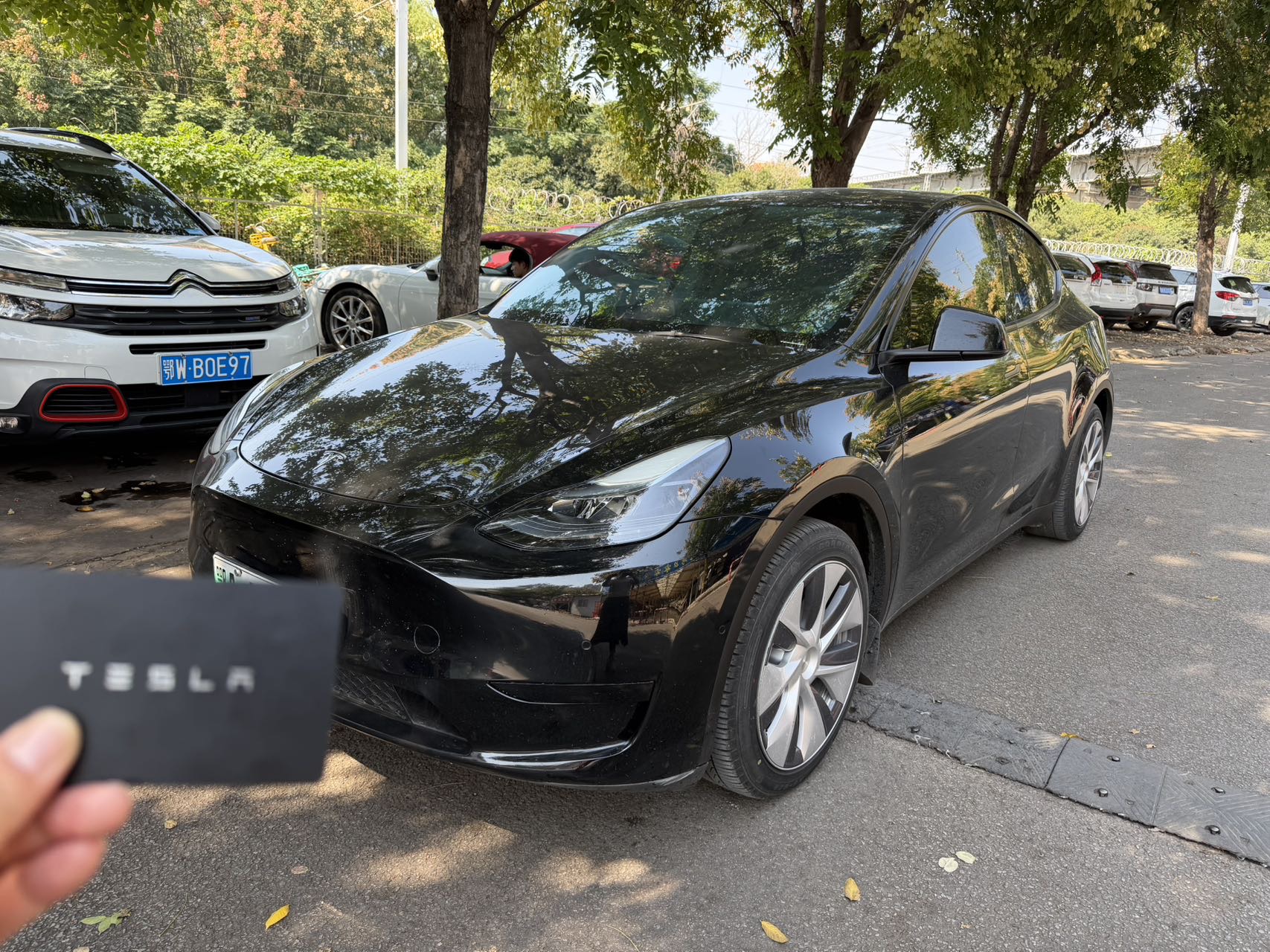 Tesla Model Y 2023 Tesla Model Y 2023 immagine di auto