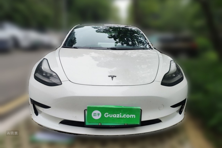 Tesla Model 3 2020 car image #3
