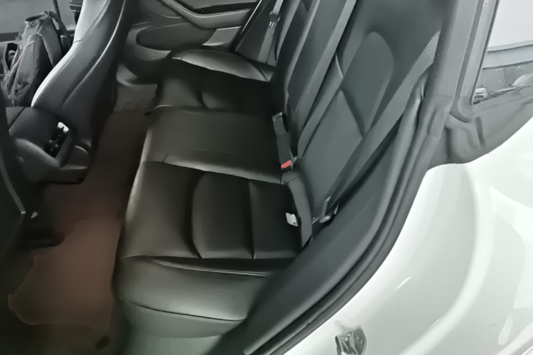 Tesla Model 3 2020 #17 Tesla Model 3 2020 صورة سيارة #17